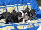 20 Days Old